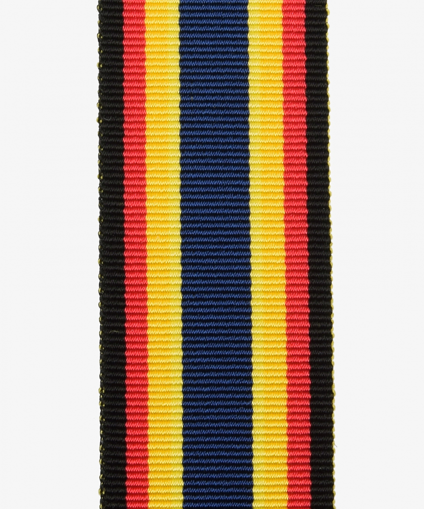 Rheinland-Pfalz, Fluthilfe Medaille (424)